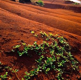 除了PS5 Pro强化补丁外 《龙之信条2》还有面向全平台的更新